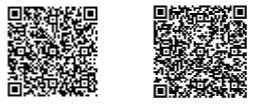 Lions_QR-Code.jpeg