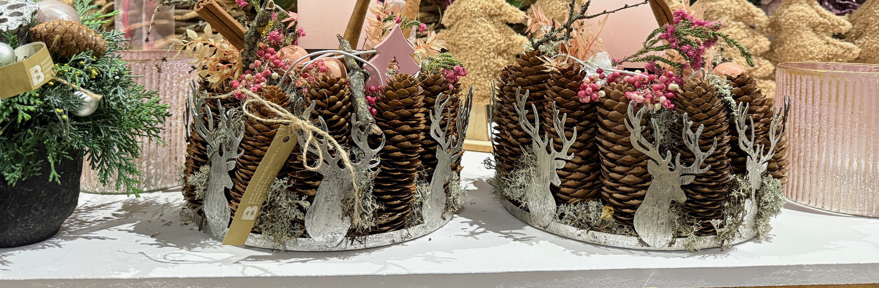 stiftung brunegg blumen ausstellungen