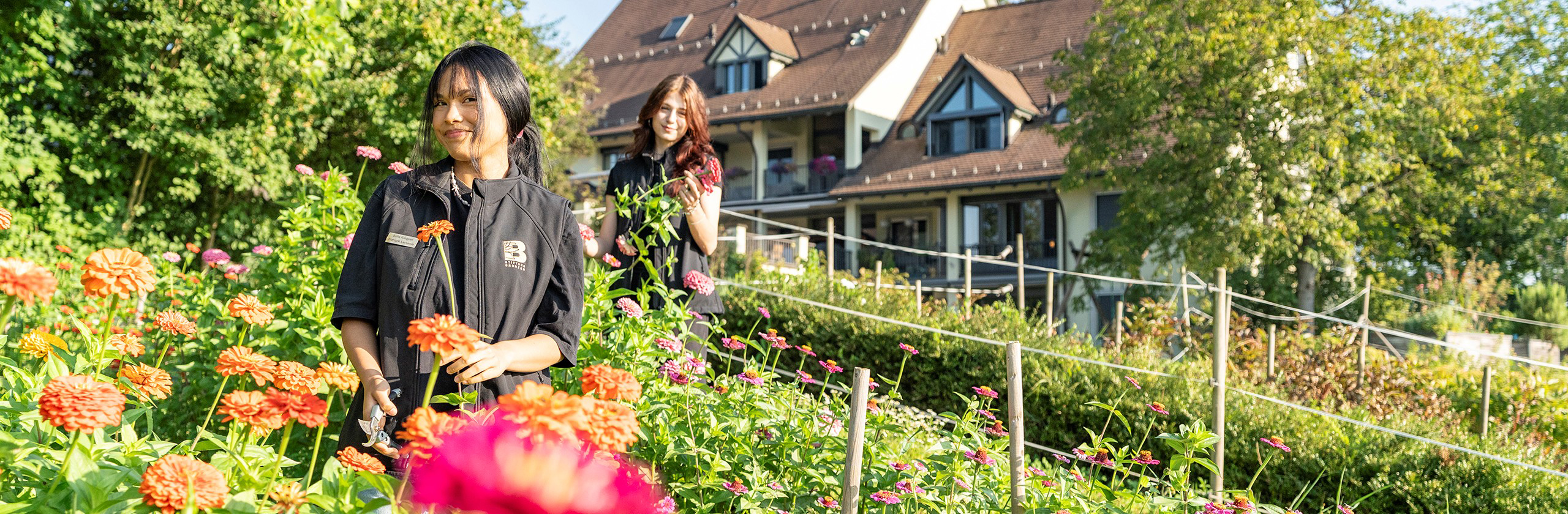 stiftung brunegg produziert eigene schnittblumen