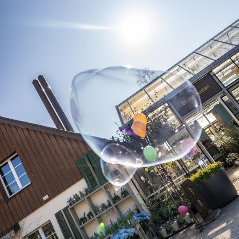 Frühlingsausstellung 2019