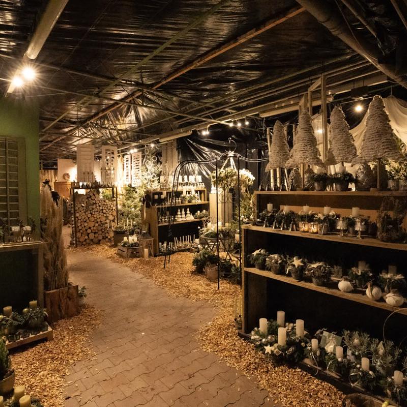 32 010 Advent 24 241121