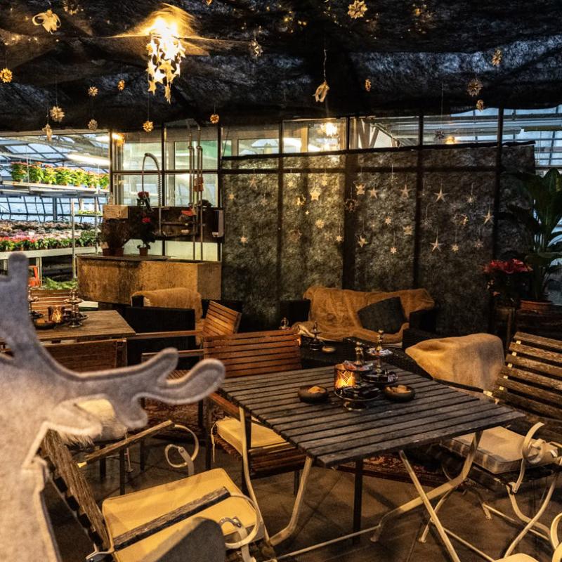 69 043 Advent 24 241121